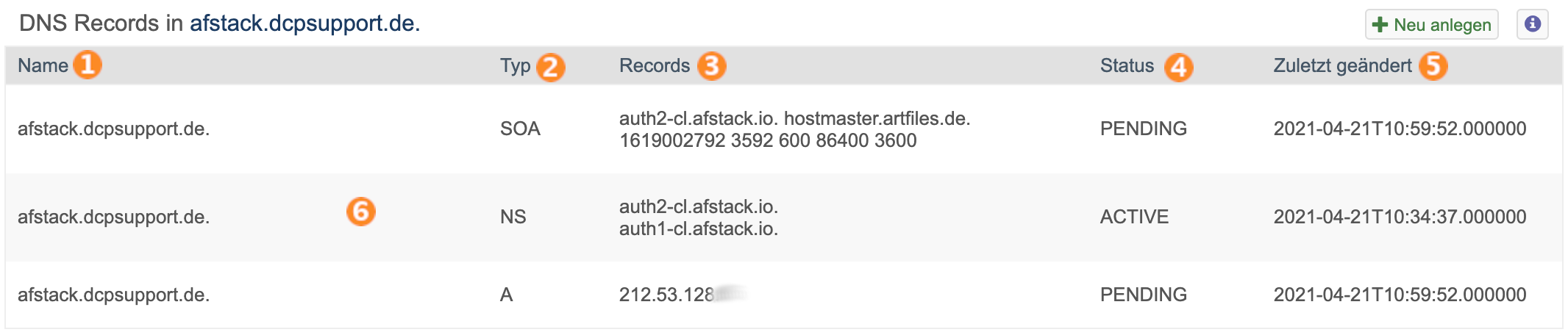 Afstack-dns-records-uebersicht.png